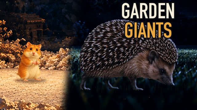 Painted Pet Wild Side scene for Your Hamster's Garden at Night: Moths, Spiders, Hedgehogs