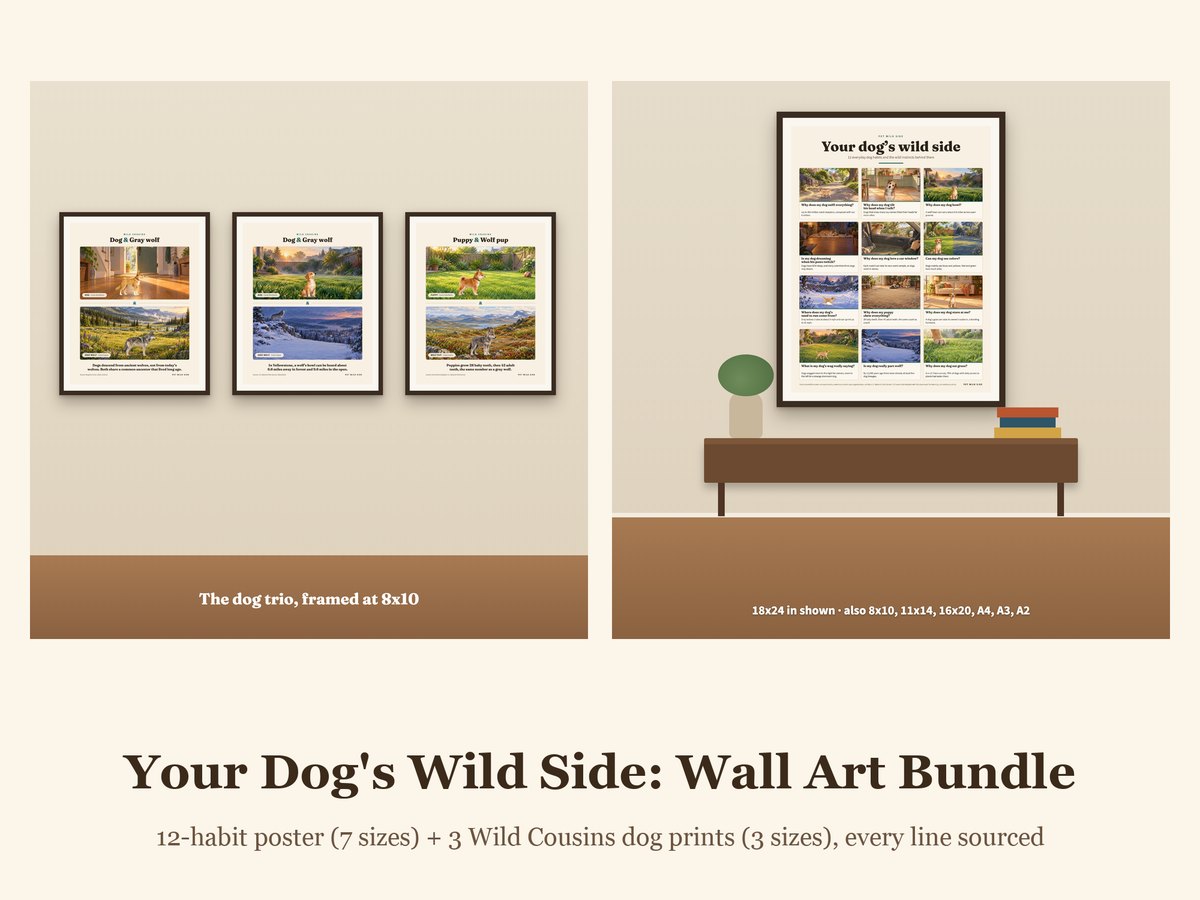 The Your Dog's Wild Side poster and three painted Wild Cousins dog prints on a wall
