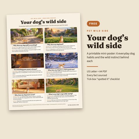 Free printable dog poster: Your dog's wild side