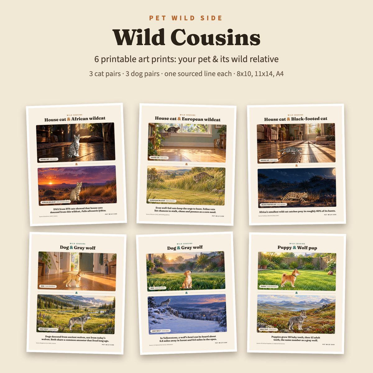 The Wild Cousins print set: painted pets at home above their wild relatives